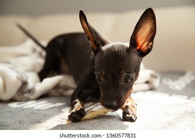 30 Tweaking ears Images, Stock Photos & Vectors | Shutterstock