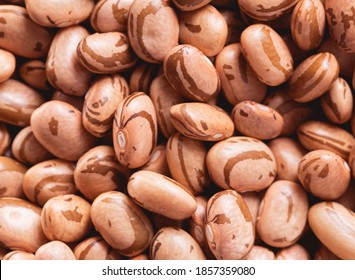 Pinto beans ( feijão carioca ), brazilian food. A  photograph of pinto beans in close up. It is a very traditional food in Brazilian gastronomy. 