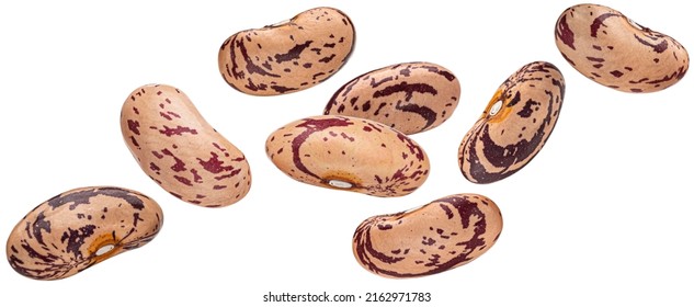 Pinto beans isolated on white background