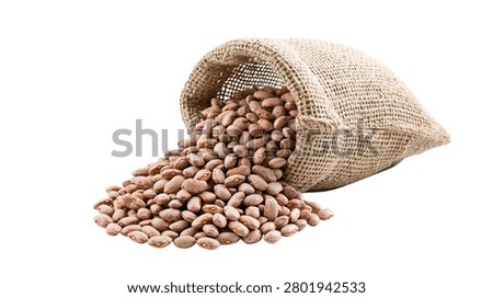 Pinto beans spilling out of a rustic burlap sack