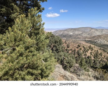 143 Pinyon trail Images, Stock Photos & Vectors | Shutterstock