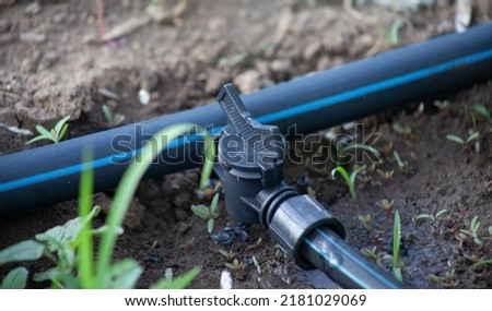 A pipe with a faucet on a drip tape. A system for drip irrigation of plants in the garden