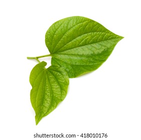 Piper Lolot Leaf Isolated On White Stock Photo 418010176 | Shutterstock