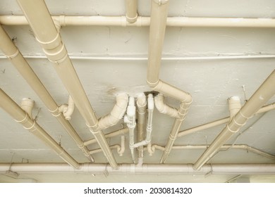 The pipes line on the building ceiling are used for any function mostly waste water system to be easy for plumber to take care.