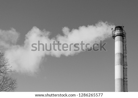 Similar – Image, Stock Photo smoke sign Bottle