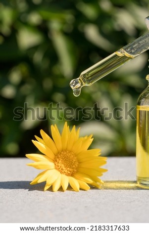 Pipette with drop of calendula oil against green leaves as natural background. Making natural cosmetics at home. Herbal cosmetic oil for skincare or essential oil for aromatherapy. Vertical image