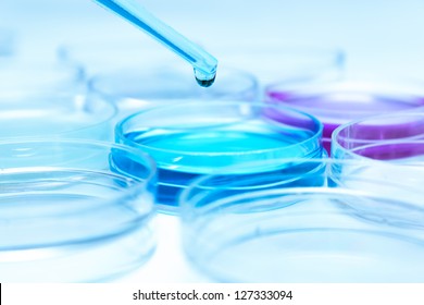 Pipette with drop of color liquid and petri dishes.