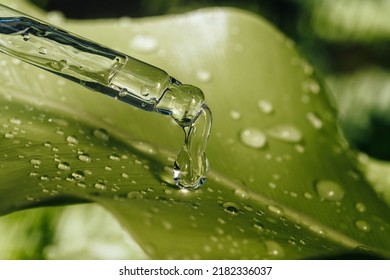 Pipette with essential liquid serum or oil. On a green leaves background with water drops. Selective focus, organic or vegan cosmetic concept. Closeup - Shutterstock ID 2182336037
