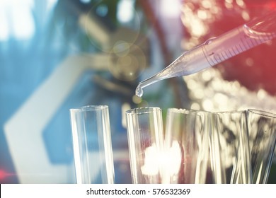 Pipette With Fluid For Cancer Immunotherapy Research Cancer Study And Gene Therapy 