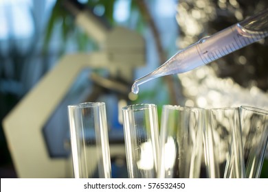 Pipette With Fluid And Test Tubes For Cancer Immunotherapy Research Cancer Study And Gene Therapy 