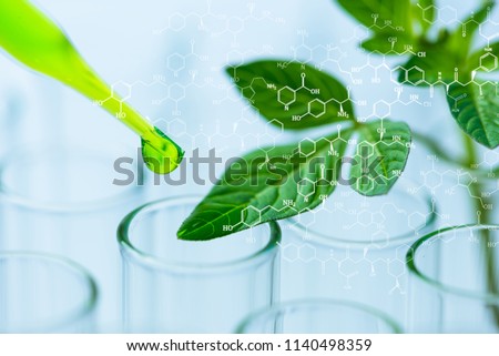 pipette over test tube dropping sample chemical into sample herbal plaint , biotechnoloy research concept.