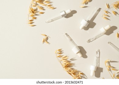 Pipette of serum natural oats cosmetics with ear on white background, top view, copy space