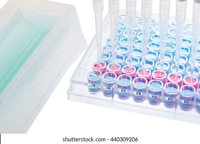 Pipette Test Sample Research Test Lab Elisa Ninety-six Well Plate Analysis 