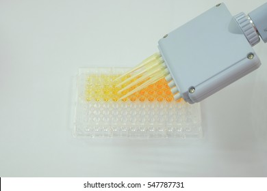 Pipette Test Sample Research Test Lab Elisa Ninety-six Well Plate Analysis