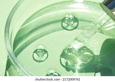 Pipette with transparent cosmetic liquid at glass petri dish over green background with copy space. Texture of face serum or cosmetic oil, aloe vera essence. Selective focus - Shutterstock ID 2172009761