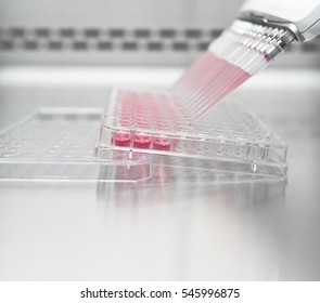 Pipetting medium into the microtiter 96 well plate for culturing mammalian stem cell by electronic multichannel pipette