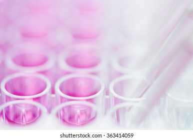 Pipetting pink liquid into multi-well plate