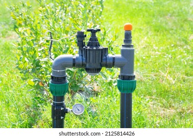 Piping and instrumentation of the blueberries farm drip irrigation system.