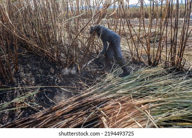 Piracicaba, Sao Paulo, Brazil. April 04, 2008. Manual Labour Harvest Sugar Cane On The Field In Brazil