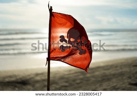 Pirate flag on the ocean.