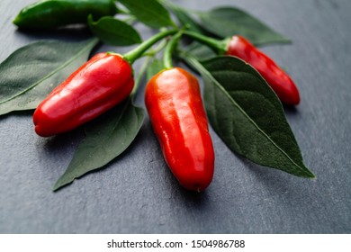 Piri Piri Red Hot Chilli Pepper