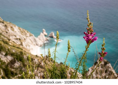 Conero Landscapes Stock Photos Images Photography