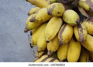 Pisang Klutuk Or Musa Balbisiana,is A Wild Type Species Of Banana Native To Eastern South Asia,northern Southeast Asia, And Southern China