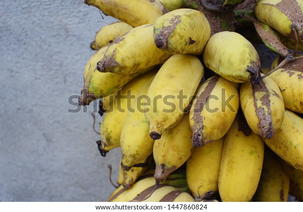 Suchen Sie Nach Pisang Klutuk Musa Balbisianais Wild Type Stockbildern In Hd Und Millionen Weiteren Lizenzfreien Stockfotos Illustrationen Und Vektorgrafiken In Der Shutterstock Kollektion Jeden Tag Werden Tausende Neue Hochwertige Bilder