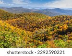 Pisgah National Forest, North Carolina, USA during autumn.
