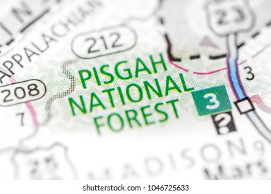 Pisgah National Forest. North Carolina. USA