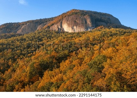 Pisgah National Forest, North Carolina, USA at Looking Glass Rock during autumn season in the morning.