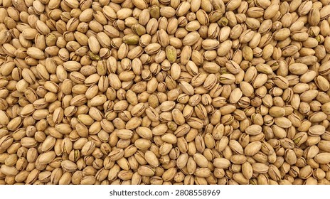 Pistachio nuts in shell full frame background