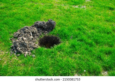 Pit Ground Hole Dug Planting Trees Stock Photo 2150381753 | Shutterstock