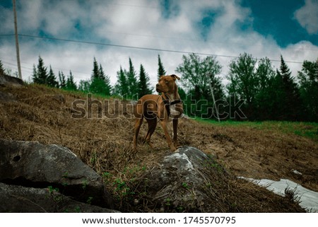 Similar – Foto Bild Unterwegs im Hochgebirge