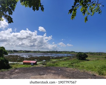 Pitch Lake In La Brea Trinidad