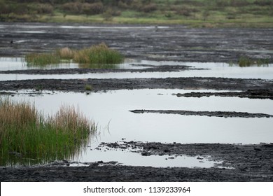 Pitch Lake In Trinidad