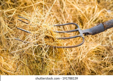 Pitchfork With Hay