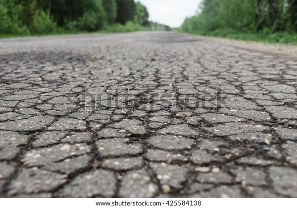 Pits of water\
on the asphalt road in the\
forest