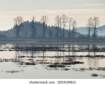 
Pitt River Marshes Lake At The Dusk					