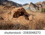 Pitted rocky outcropping in foreground with natural grasses.  Colorful hillside in background in bokeh view.  High desert scene of Grand Junction in Colorado.  