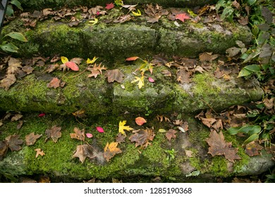 Pittsburg, PA. USA. Fall On The Farm.