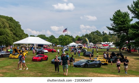 Pittsburgh, Pennsylvania, USA July 24, 2022 The Pittsburgh Vintage Gran Prix In Schenley Park, A Yearly Event Since 1983 Featuring Car Shows And Circuit Races. A View Of The Crowd And Show Cars
