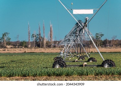 Pivot irrigation system in desert fields.
