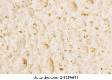 Pizza dough closeup. Well-aerated, porous texture. Visible air bubbles in the dough. Fluffy consistency pizza. Flour handmade raw pastry. - Powered by Shutterstock