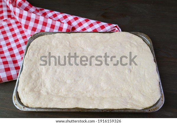 Pizza dough on sheet pan ready for the next\
process of preparation