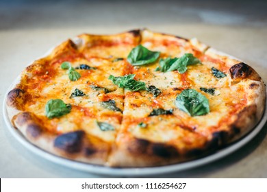 Pizza Margherita baked with basil leaves over