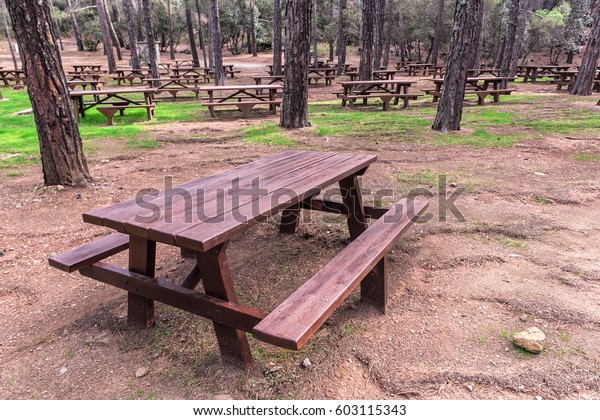 Place Camping Forest Wooden Table Benches Stock Photo Edit Now