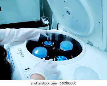 Place Sample In Centrifuge