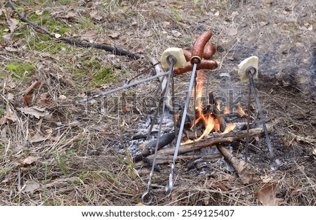 Image, Stock Photo Skewering moss on a wall stone in front of a blurred background