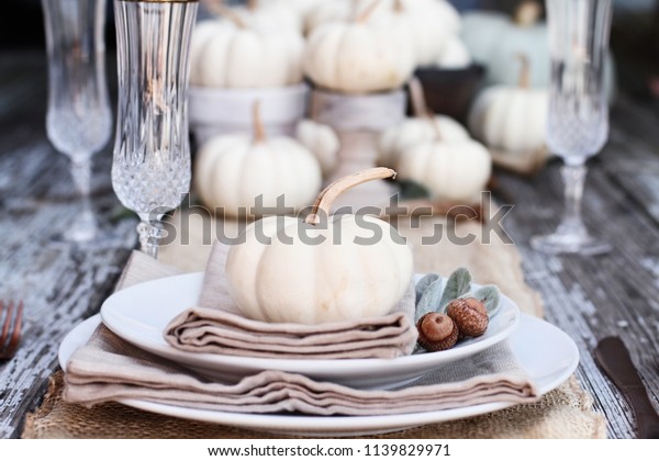 Place setting on a rustic farmhouse country\
table with mini white pumpkins, and crystal glasses for\
Thanksgiving Day or\
Halloween.